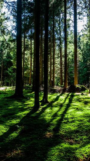 吃瓜曝光黑料不打烊截图1