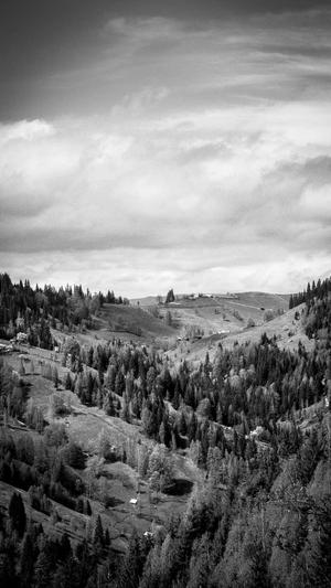 吃瓜黑料不打烊截图3