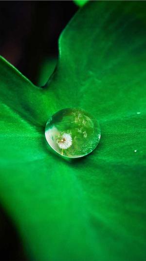 万里长征正能量黑料截图4