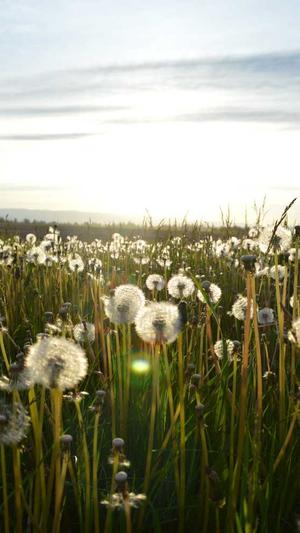 吃瓜网在线截图4