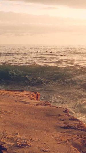 肖宇梁黑料是不是真的截图1