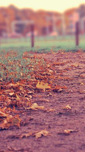 陈妍希黑料截图2