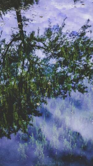 南波儿黑料截图3