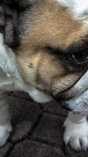 我要吃瓜网 黑料截图4