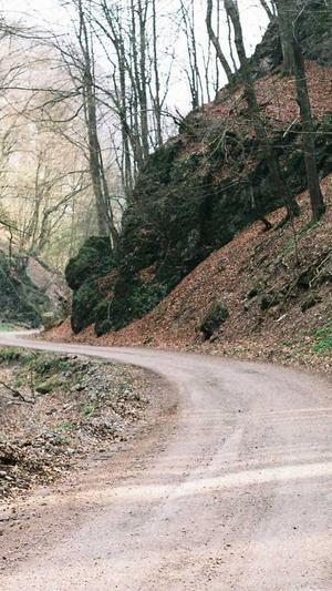 瓜拉纳长期吃副作用截图2