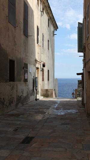 张柏芝黑料截图1