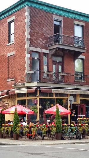 专门吃瓜的网址截图4