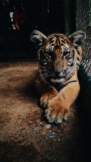 91吃瓜官网截图5