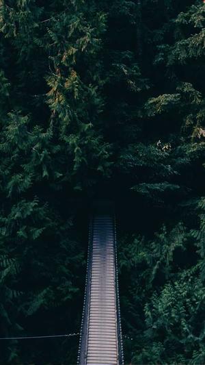 月经期可以吃哈密瓜吗截图1