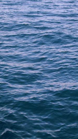 爆料黑料网站截图1