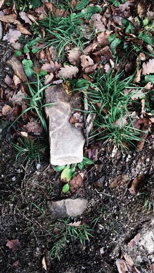 51吃瓜最新网站截图2