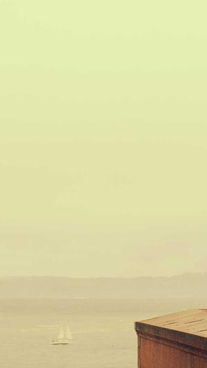 狗可以吃哈密瓜吗截图3