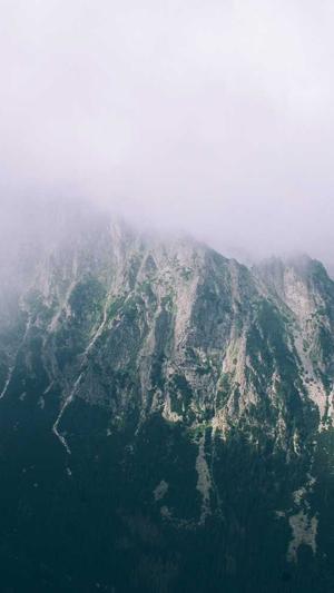 冲哥黑料最新地址截图2