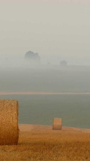 吃瓜群众表示瓜都掉了截图2