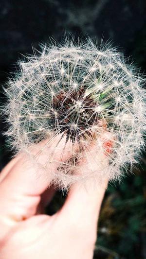 黑料不打烊入口导航so截图2