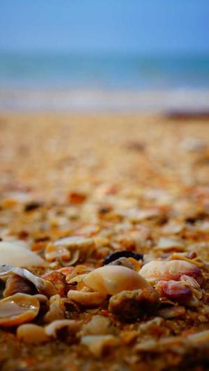 黑料不打烊直达导航截图1