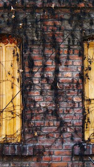 黑料网 今日黑料截图3