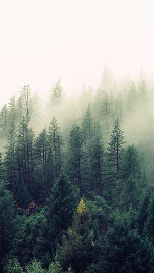 陈妍希黑料截图3