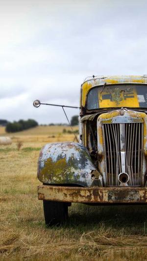 四川八月瓜怎么吃截图4