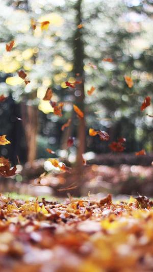 吃瓜天堂吃瓜网截图3