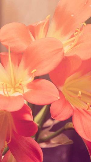 b站欣小萌黑料截图3