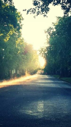 减肥可以吃吗瓜青截图1