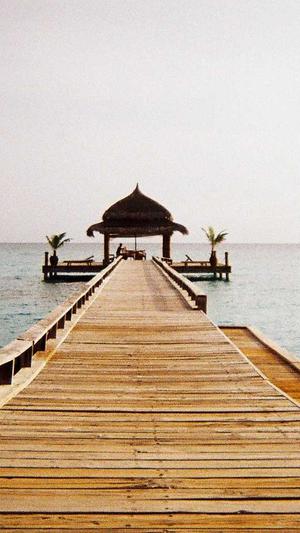 孕早期可以吃哈密瓜么截图4