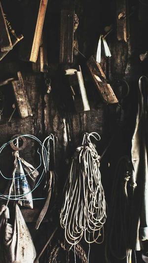 吃瓜群众要修行截图5