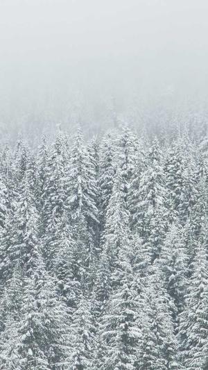 反差婊吃瓜黑料合集截图1