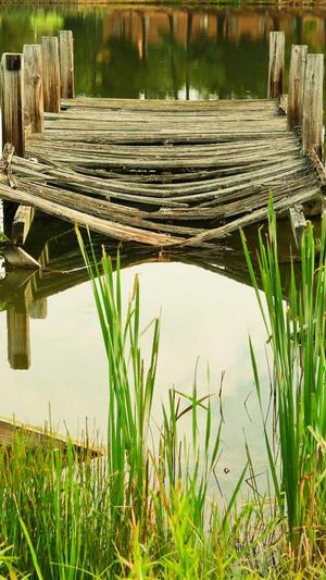 51吃瓜网在线网站截图1