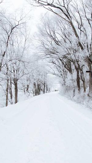 孕妇吃白瓜对胎儿好吗截图2