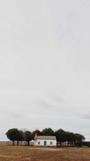 soeg黑料不打烊导航截图2