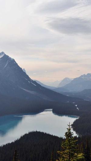 998.su黑料正能量入口截图3