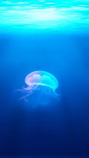 黑料不打烊网址是多少截图4