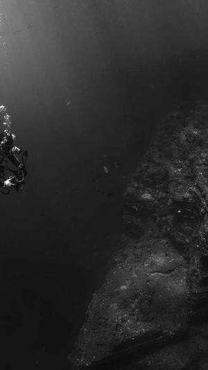 黑料不打烊 最新地址截图3