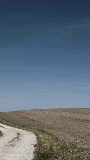 吊瓜怎么吃截图3