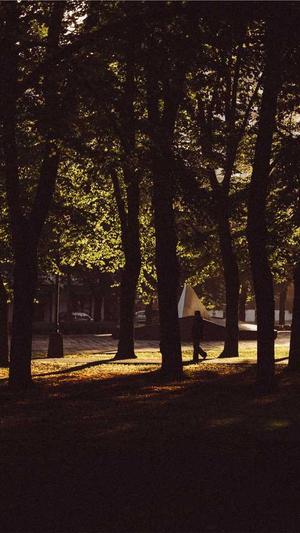 孕妇可以吃籽瓜吗截图2