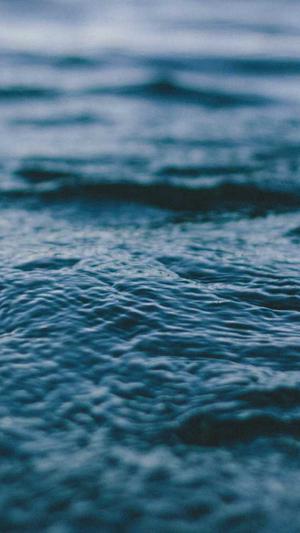 黑坑窝料和饵料截图3