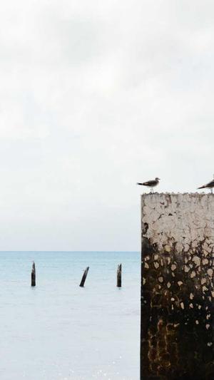 吃瓜群众要修行截图2