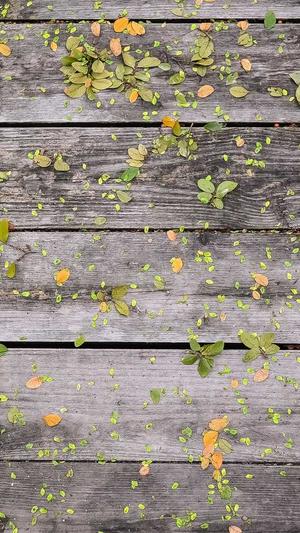 黑料大爆炸截图4