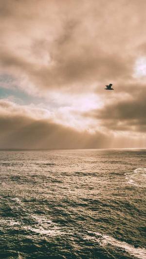 爆料黑料网站截图2