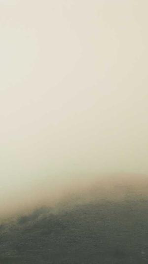 权志龙黑料截图2