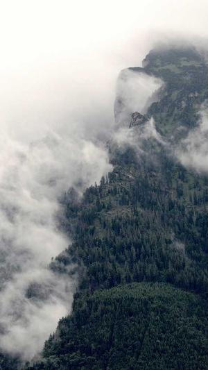 娱乐718吃瓜你我她截图3