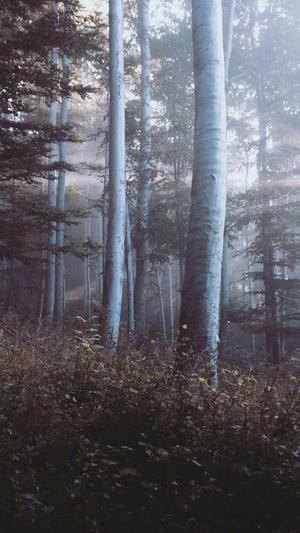 91黑料吃瓜网截图3